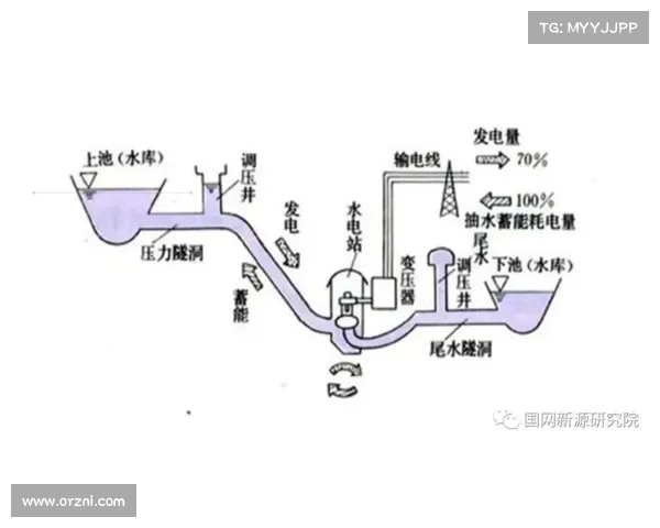 足球球员合同解除费用管理机制研究与优化路径分析